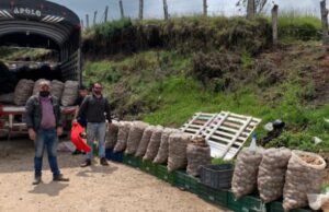 A comprar papa en los peajes de Cundinamarca el fin de semana