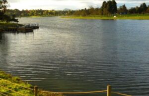 Lo que se sabe del cuerpo hallado en el lago del parque Simón Bolívar parque-metropolitano-simon-bolivar