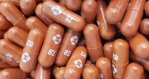 La pastilla contra la COVID-19 podría ser una realidad en unos meses mulnupiravir merk