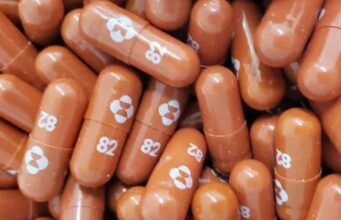 La pastilla contra la COVID-19 podría ser una realidad en unos meses mulnupiravir merk