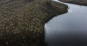 En el Páramo del Sumapaz reportan alto número de visitantes tras nevada del pasado 23 de junio paramo sumapaz