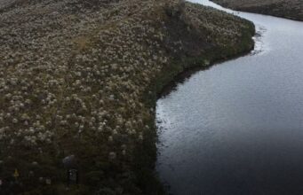 paramo sumapaz